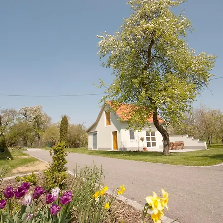 Essl Guest house Dietach